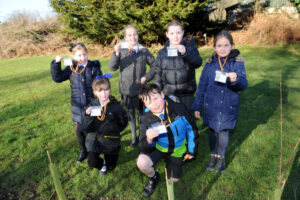 Chobham's Queen's Green Canopy hedge planting